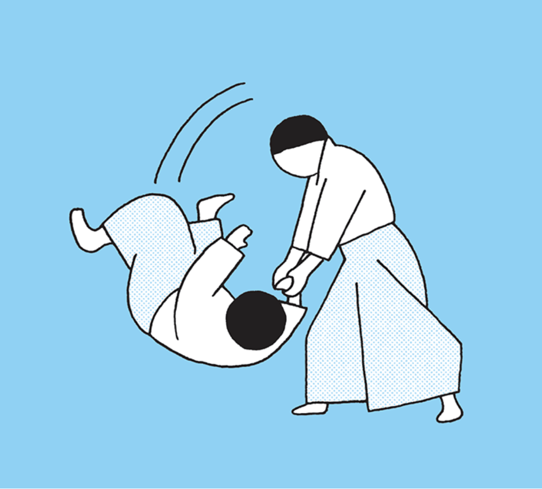 Aikido business model